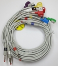 EKG Cable 10-Lead with 4mm Banana - Philips 